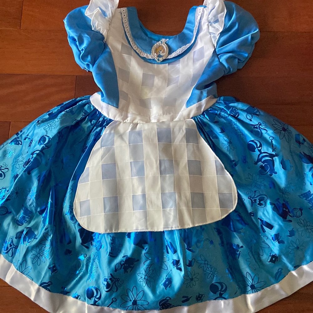 Alice in Wonderland costume